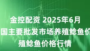 金控配资 2025年6月11日全国主要批发市场养殖鲶鱼价格行情